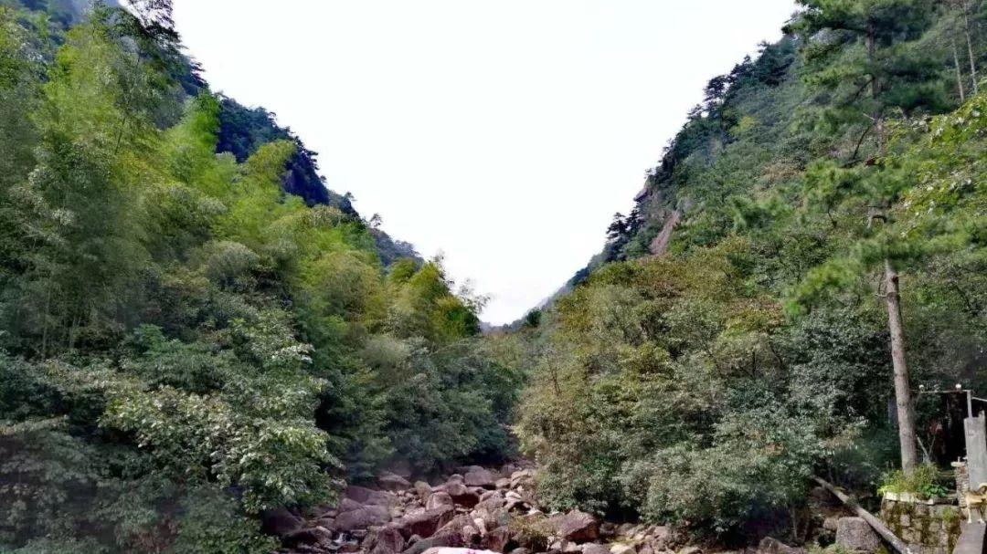 【徽州古道31】黄山汤岭古道(4):一条尘封已久的千年官道 【徽州古道31】黄山汤岭古道(4):一条尘封已久的千年官道