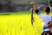 传统村落:可否有点平常心?-规划问道