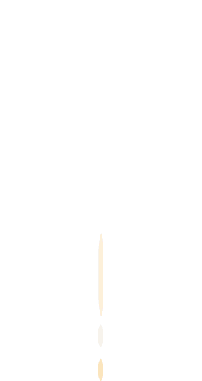 TJUPDI 祝您国庆节快乐！