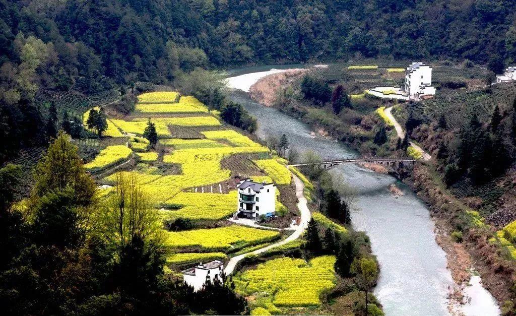 回良玉撰文抒发黄山情怀：退休后首先到黄山