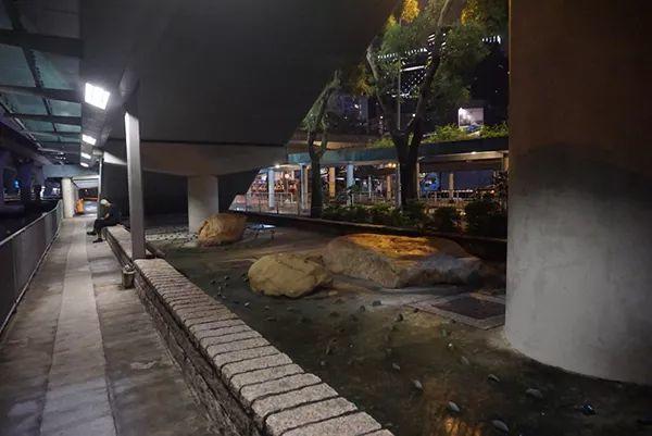 城市细节｜体验香港西九龙高铁站及其他