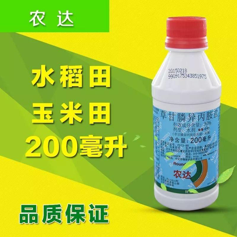 从明天起，关心粮食和蔬菜