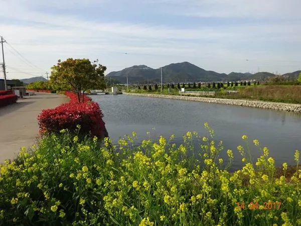 城市史｜双屿：找寻“16世纪的上海”