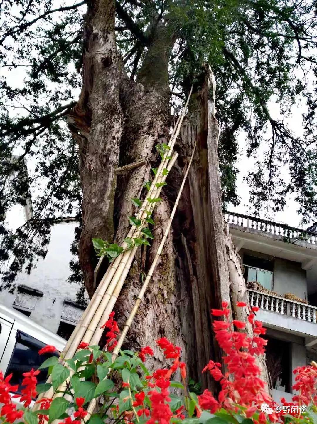 【徽州古道32】歙县贤源岭古道（下）：古徽南下一“鸟道”
