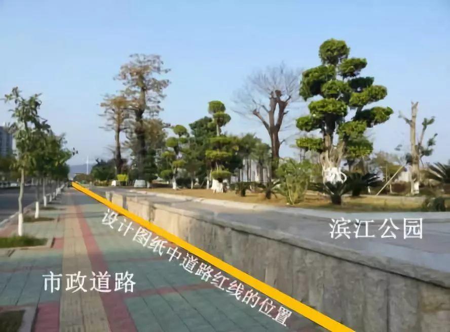 【视点】人的城市，还是车的城市？