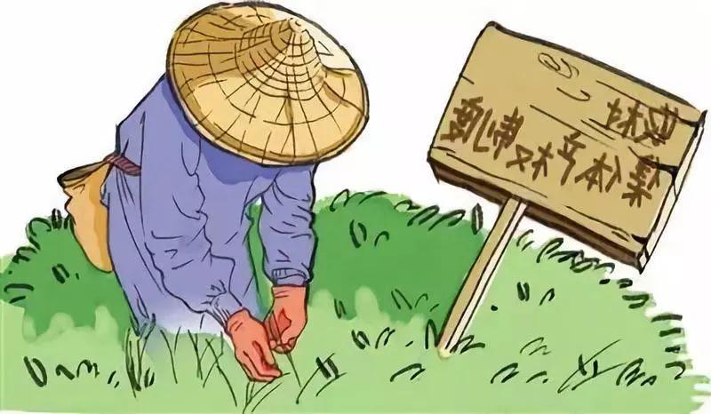 【资讯】农业农村部：助力乡村振兴，农村集体产权制度改革做好这五点！