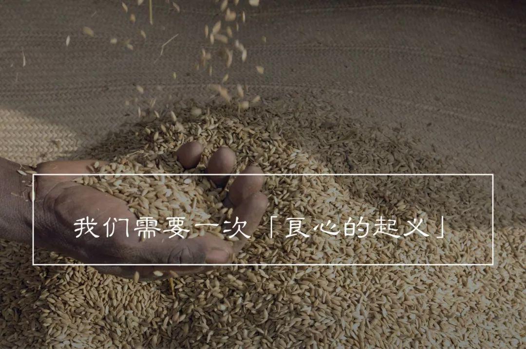 从明天起，关心粮食和蔬菜