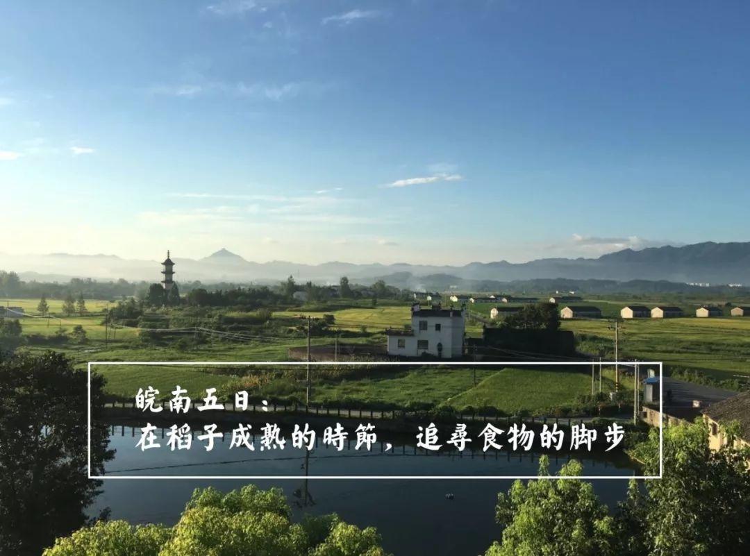 从明天起，关心粮食和蔬菜