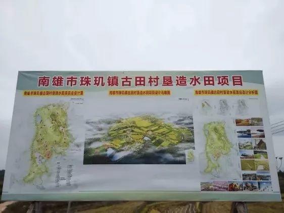 【风向】南雄珠玑焕新姿，水田丰收增益近百万