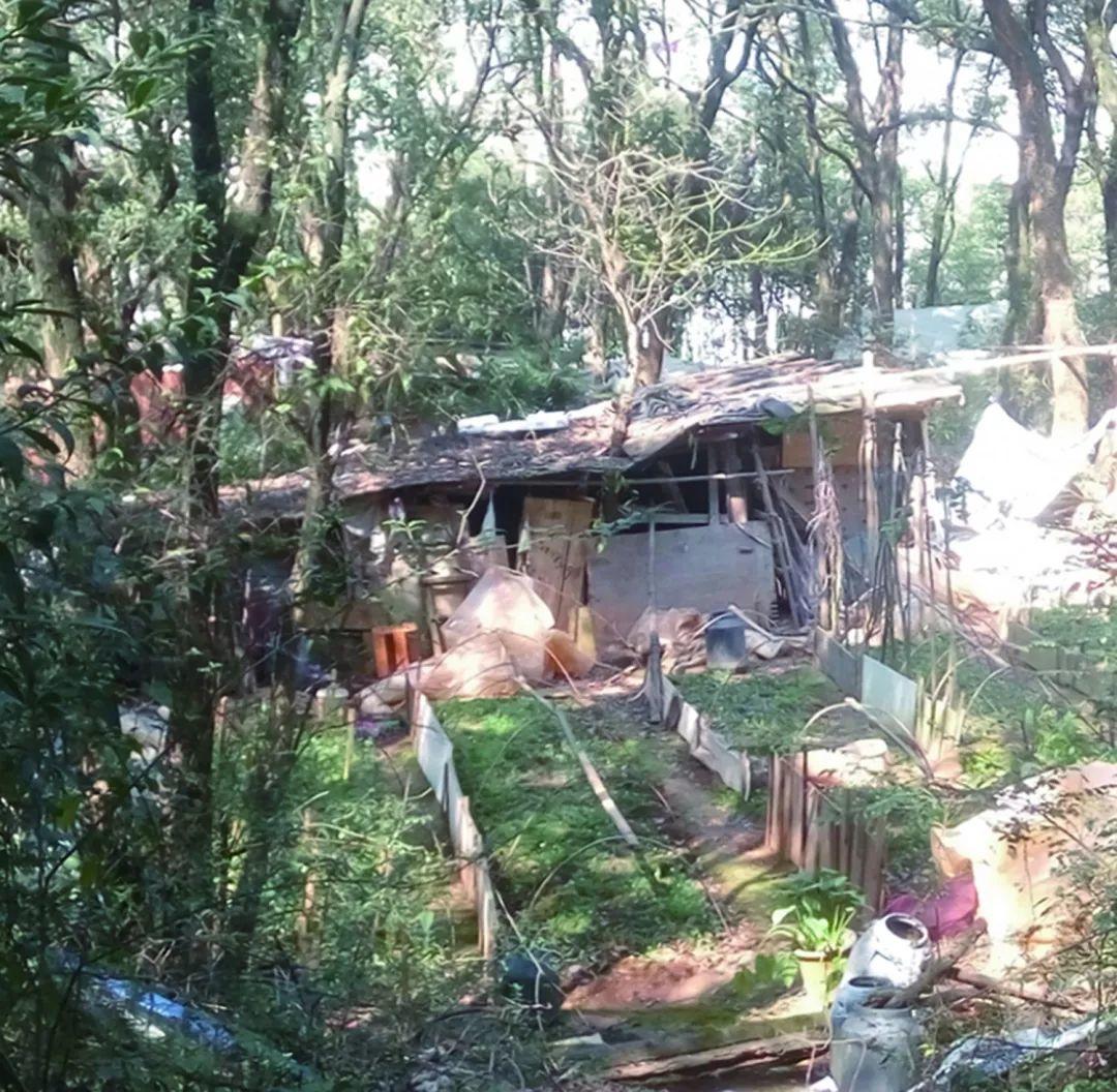 修生态：规划引领千年瓷都的山水修复