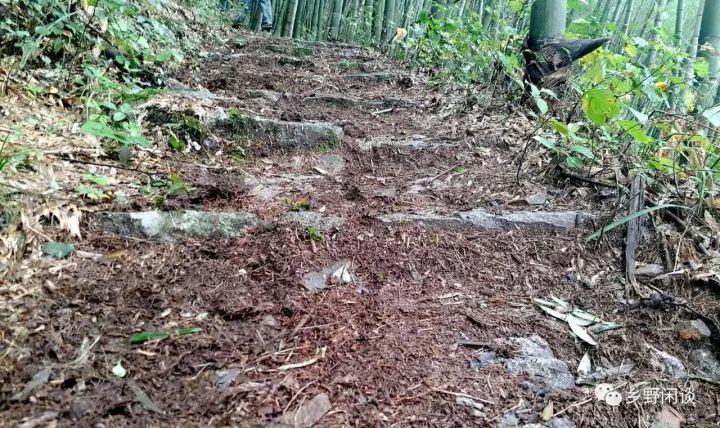 【徽州古道35】歙县光坑岭古道：一条即将消失的古徽州南北大通道