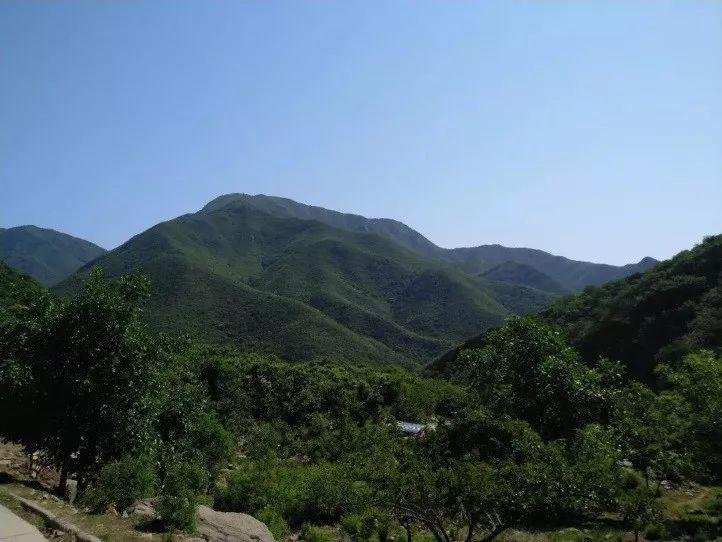 华北某乡村振兴调研手记：原来乡村和我想的大不一样