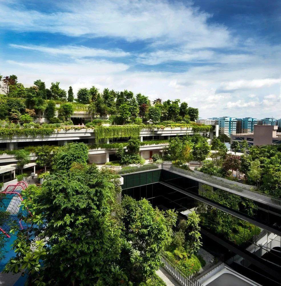“年轻貌美”的老年人社区——新加坡Kampung Admiralty “年轻貌美”的老年人社区——新加坡Kampung Admiralty