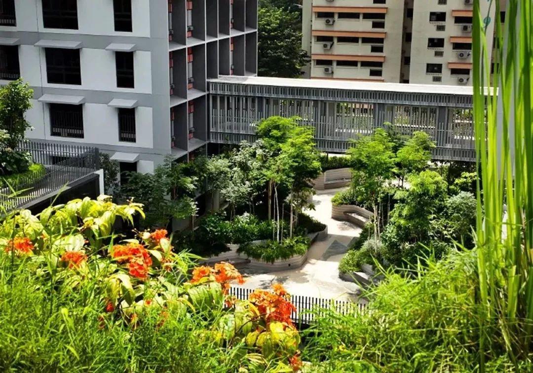 “年轻貌美”的老年人社区——新加坡Kampung Admiralty “年轻貌美”的老年人社区——新加坡Kampung Admiralty