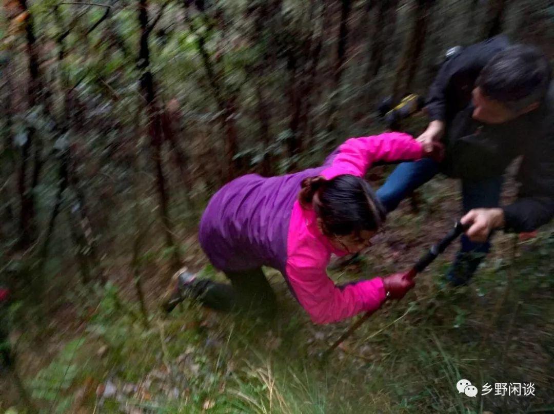 【徽州古道35】歙县光坑岭古道：一条即将消失的古徽州南北大通道