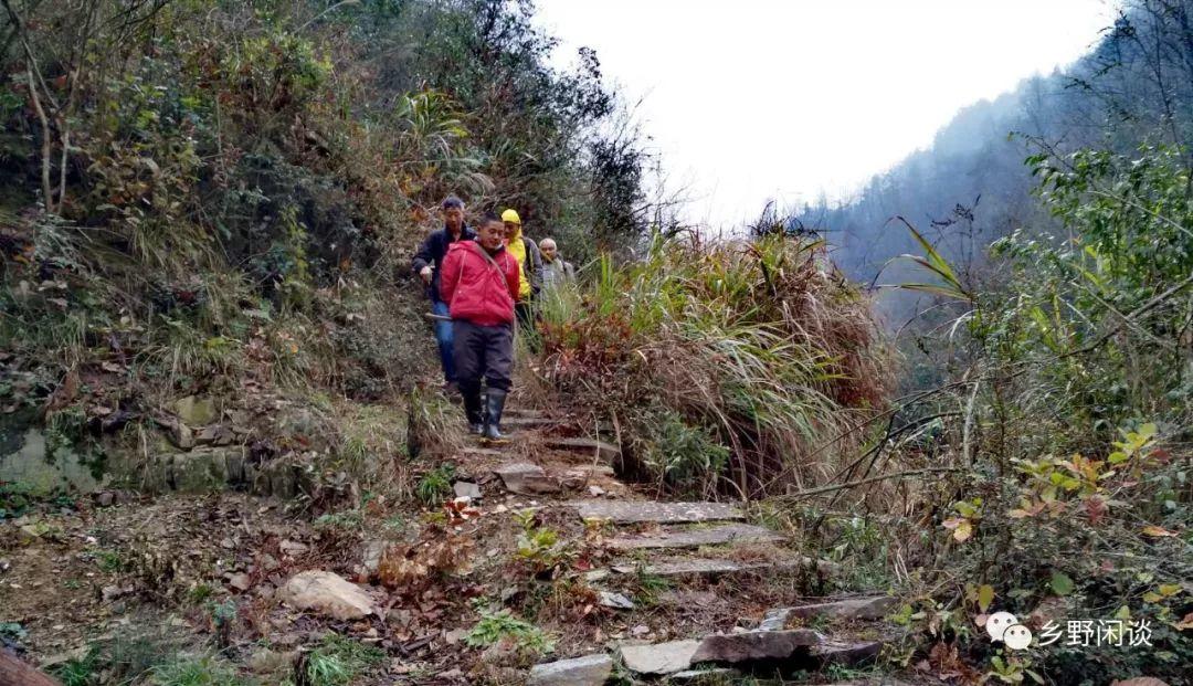 【徽州古道35】歙县光坑岭古道：一条即将消失的古徽州南北大通道