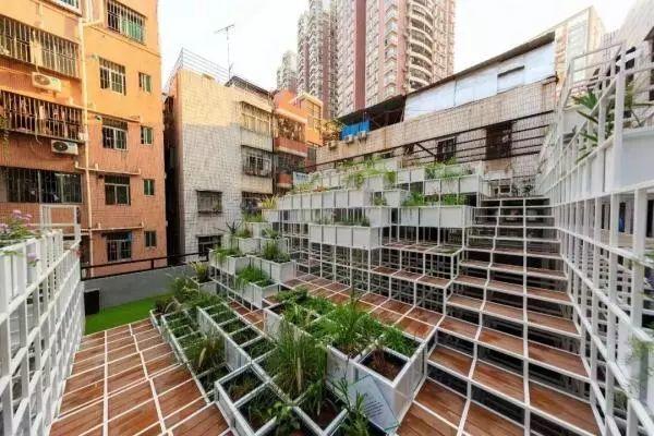 你的地方·观察员｜杨波：城市中可以营造的生境花园