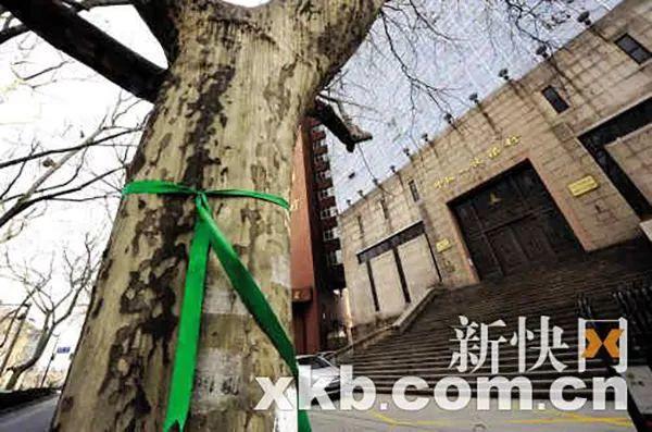 你的地方·观察员｜范文兵：在地体认故乡