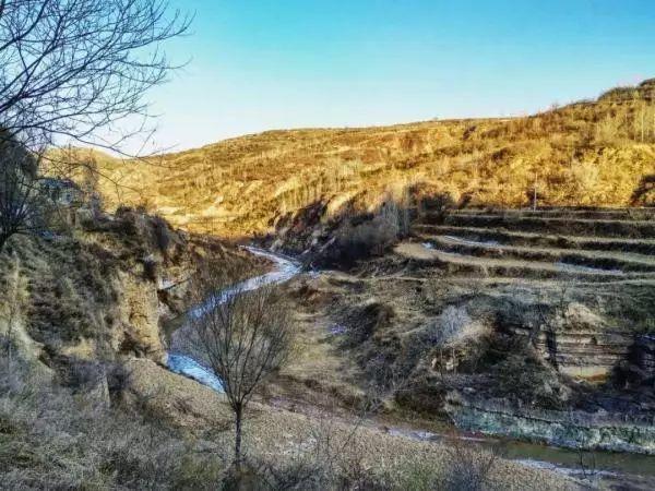 你的地方·观察员｜杨波：城市中可以营造的生境花园