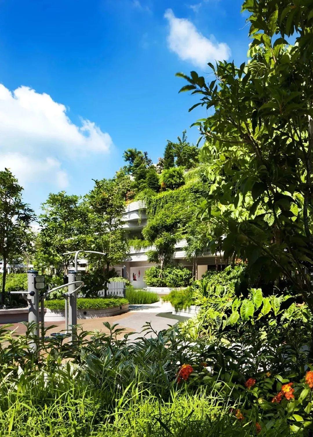 “年轻貌美”的老年人社区——新加坡Kampung Admiralty “年轻貌美”的老年人社区——新加坡Kampung Admiralty