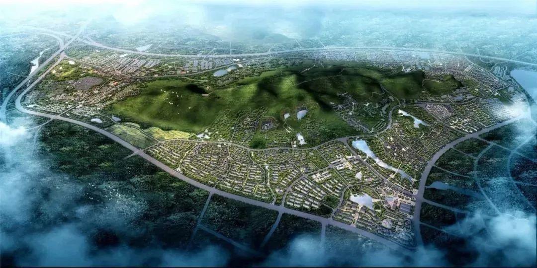 张敬华专题研究南京东部地区规划发展