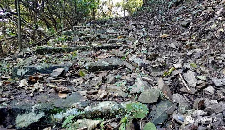 【徽州古道35】歙县光坑岭古道：一条即将消失的古徽州南北大通道