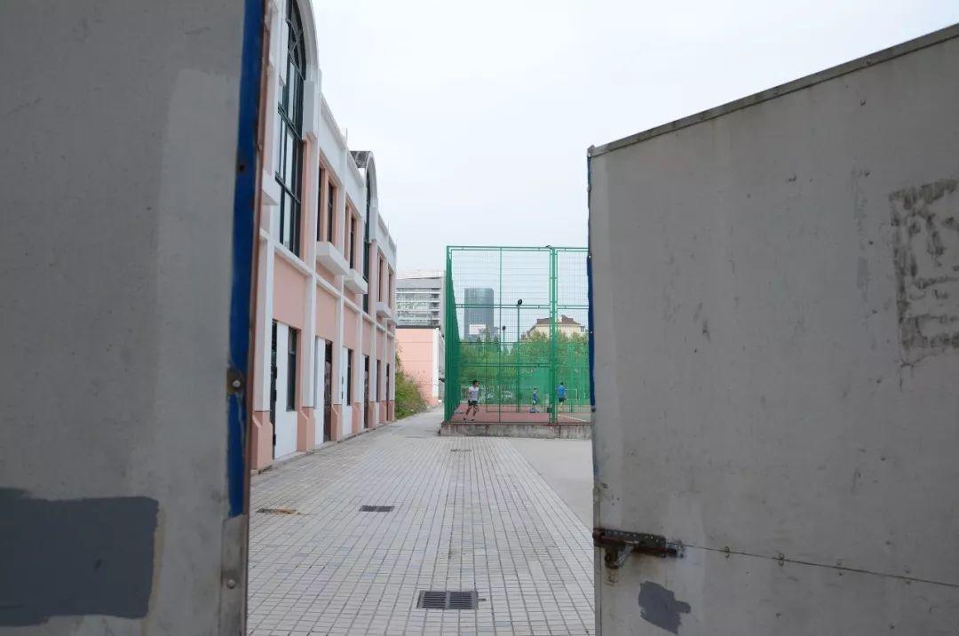 你的地方·观察员｜陆铭：我的复旦和五角场