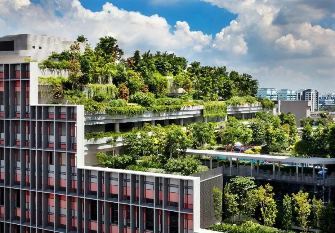 “年轻貌美”的老年人社区——新加坡Kampung Admiralty “年轻貌美”的老年人社区——新加坡Kampung Admiralty