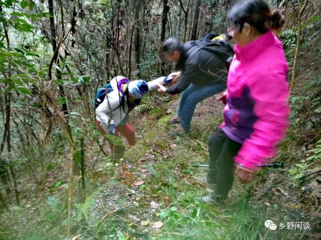 【徽州古道35】歙县光坑岭古道：一条即将消失的古徽州南北大通道