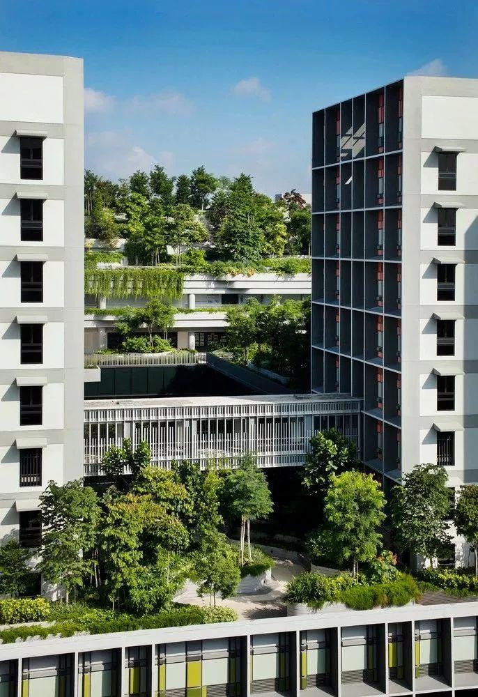 “年轻貌美”的老年人社区——新加坡Kampung Admiralty “年轻貌美”的老年人社区——新加坡Kampung Admiralty