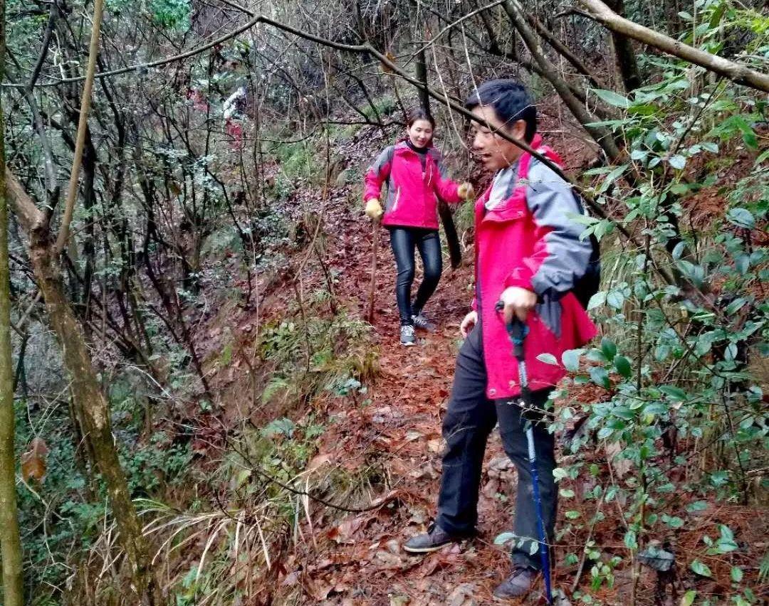 【徽州古道35】歙县光坑岭古道：一条即将消失的古徽州南北大通道