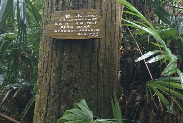 一个人一个村一条古道
