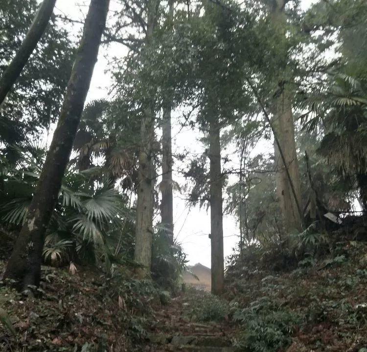 一个人一个村一条古道