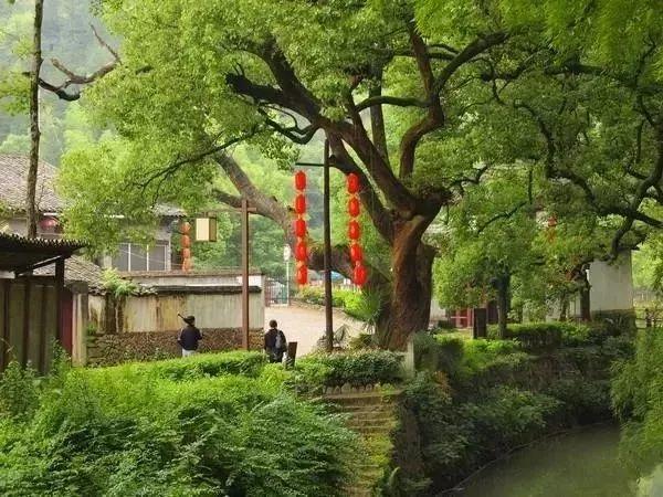 丽水千年古村落: 青山绿水间的世外桃源