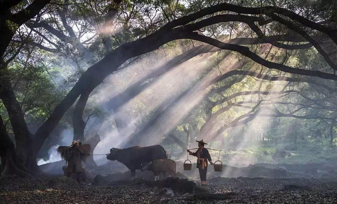 丽水千年古村落: 青山绿水间的世外桃源