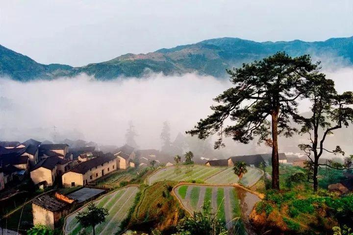 丽水千年古村落: 青山绿水间的世外桃源