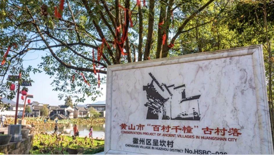 古村落们都怎么了？