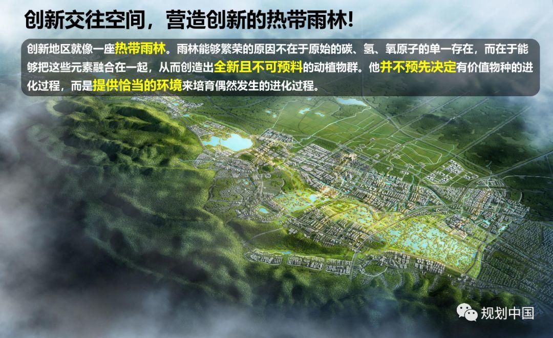营造创新的热带雨林 ——以杭州城西科创大走廊城市设计为例