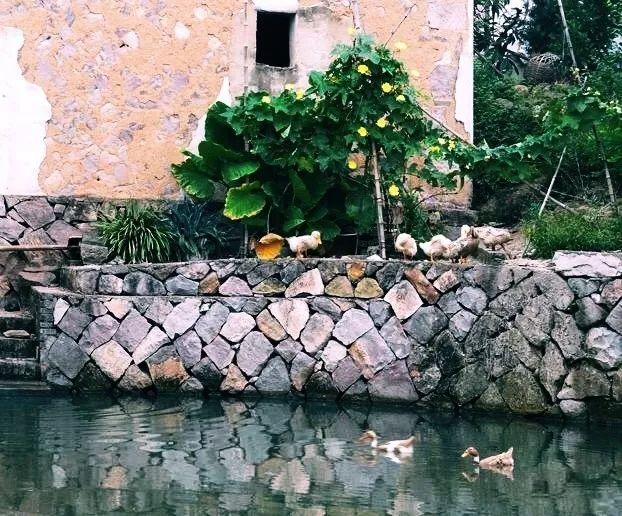 喧闹久了，便找一座古村住下