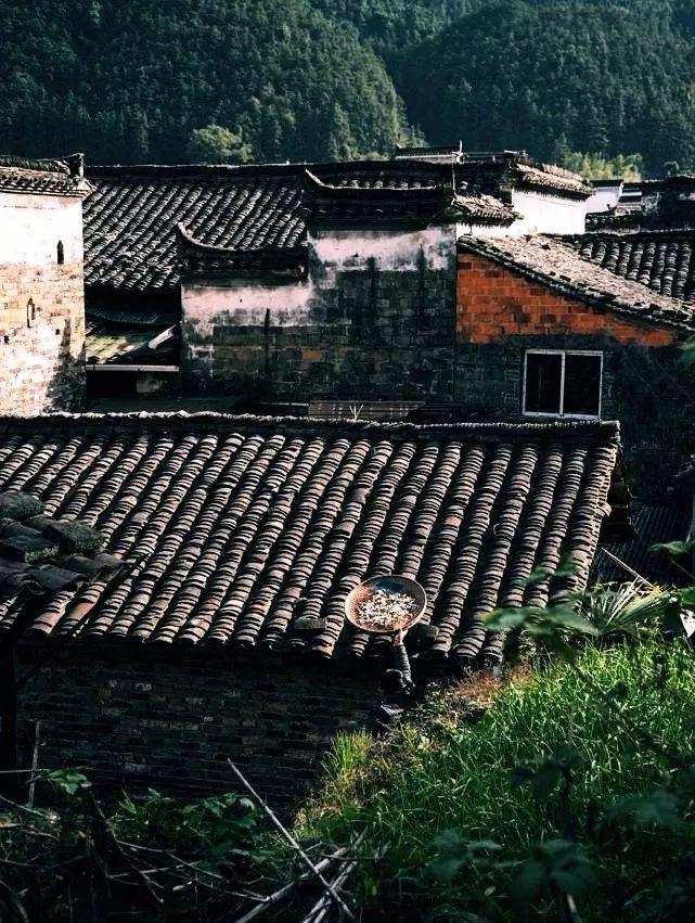 喧闹久了，便找一座古村住下