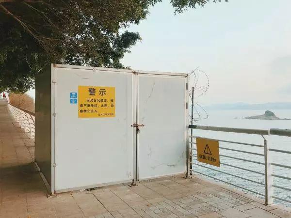 深圳表情｜大梅沙：山海与我们的生活