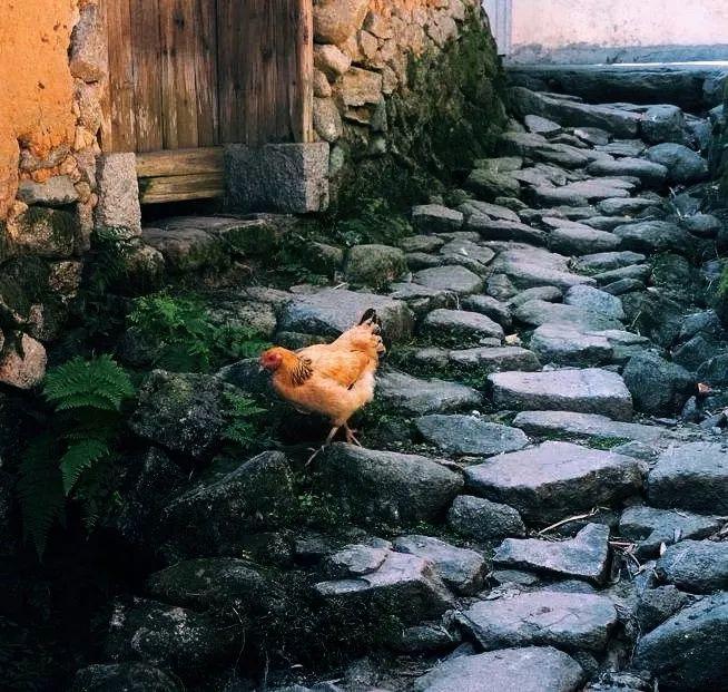 喧闹久了，便找一座古村住下