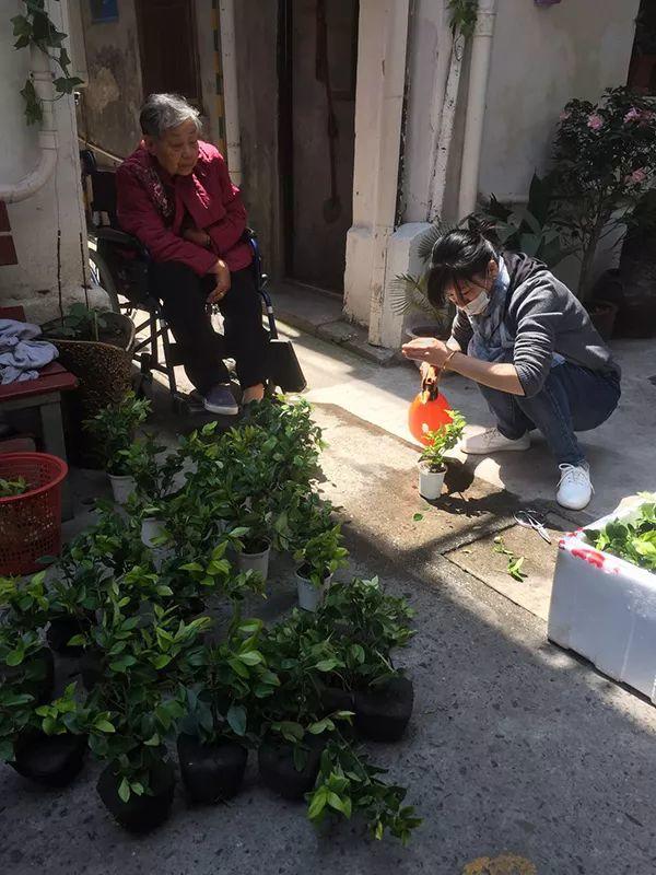社区更新·展｜上海金友里①：这是一条会定期聚餐的弄堂