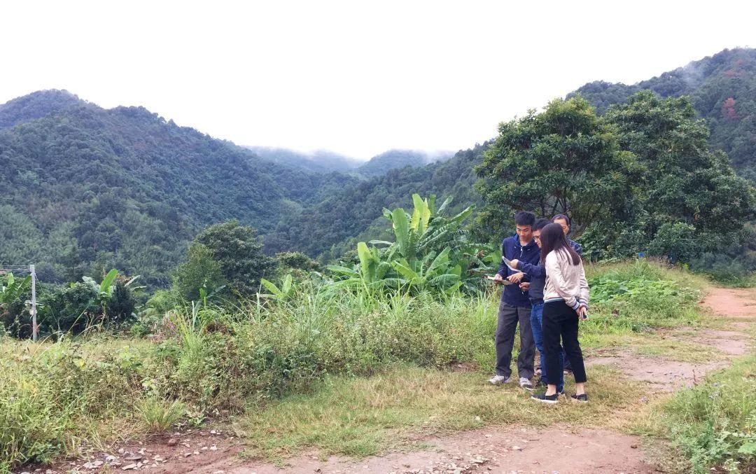 风向︱惠州：会当水击三千里 喜迁新址再出发