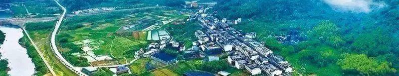 习近平：同筑生态文明之基，同走绿色发展之路