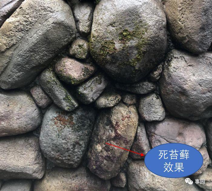 揭开主题包装的秘密，一天时间让你全面了解迪士尼是怎么建成的！