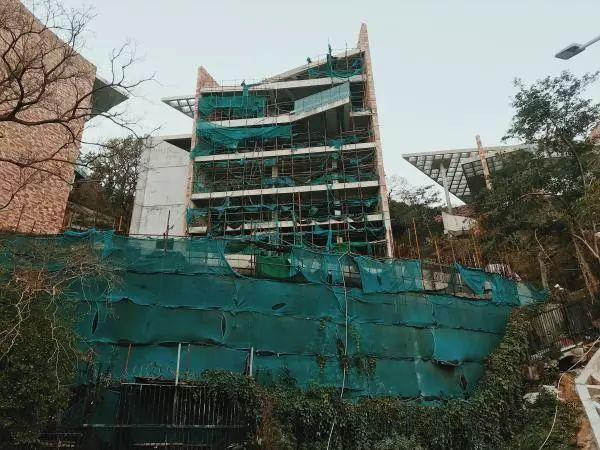 深圳表情｜大梅沙：山海与我们的生活