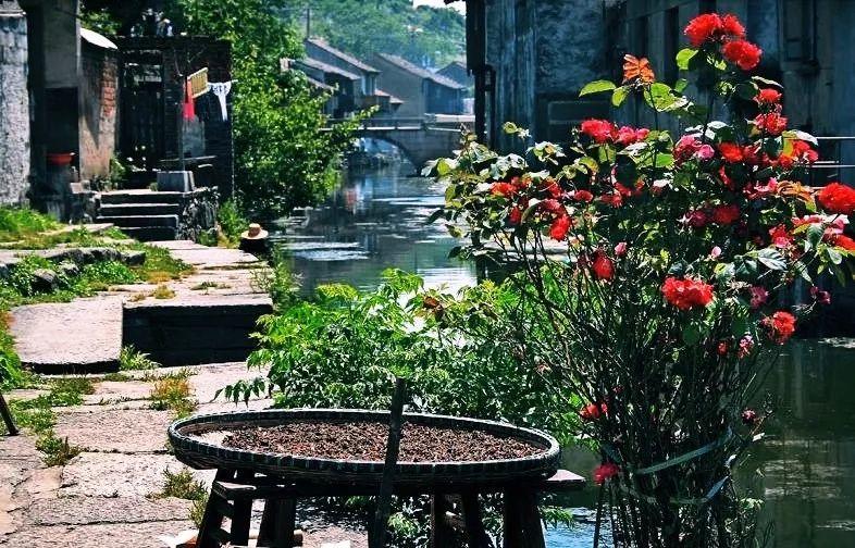 喧闹久了，便找一座古村住下