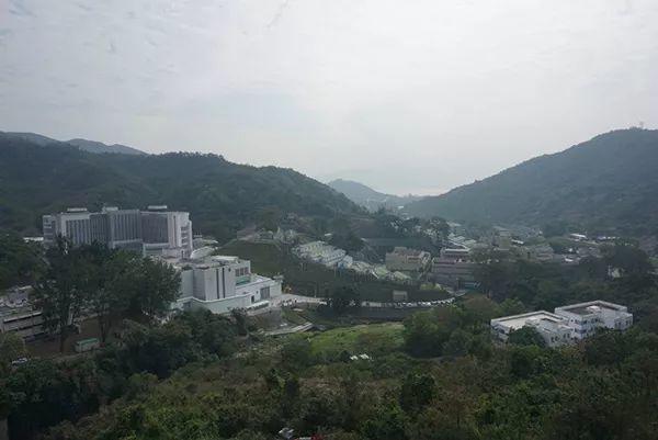 城市细节｜别样红叶：在香港向山进发