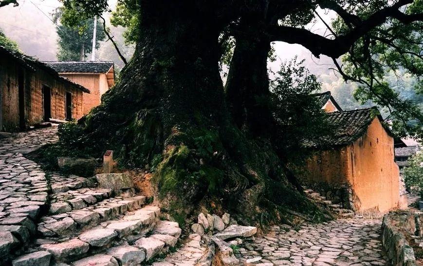 喧闹久了，便找一座古村住下